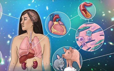 Getting to the Heart of Comorbidities