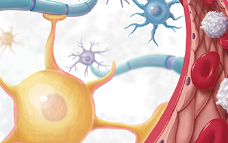 Understanding the Human Brain: Friedman Brain Institute Updates